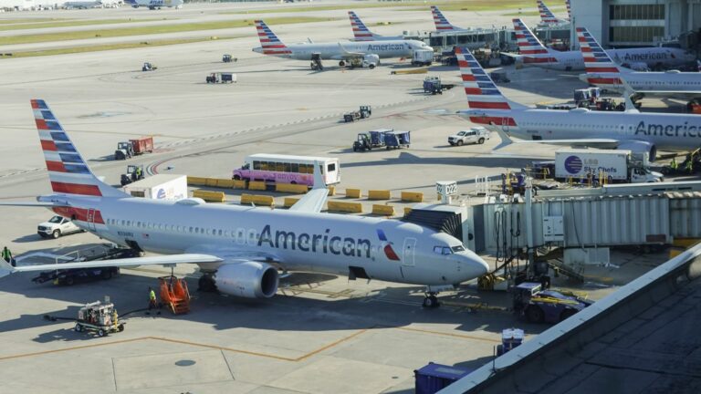 American Airlines has temporarily suspended flights due to a technical problem