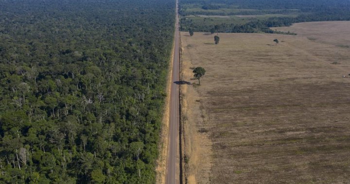 38 people died as a result of a collision between a passenger bus and a truck in Brazil