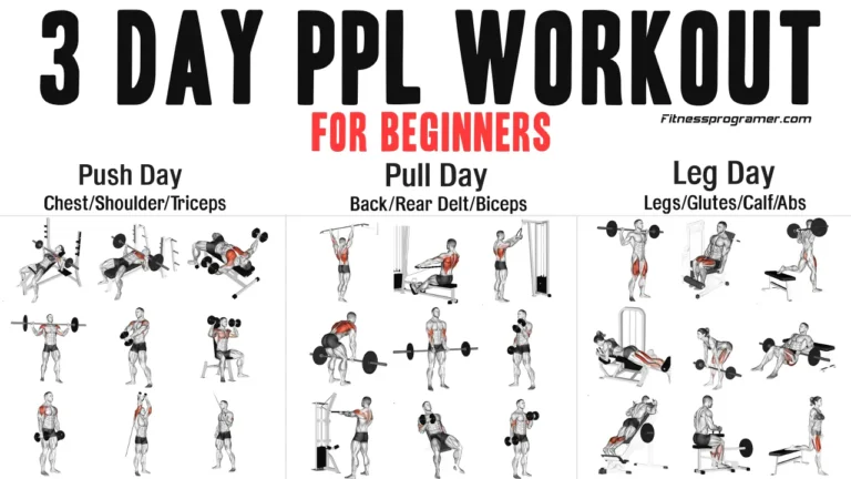 3-day PPL training for beginners