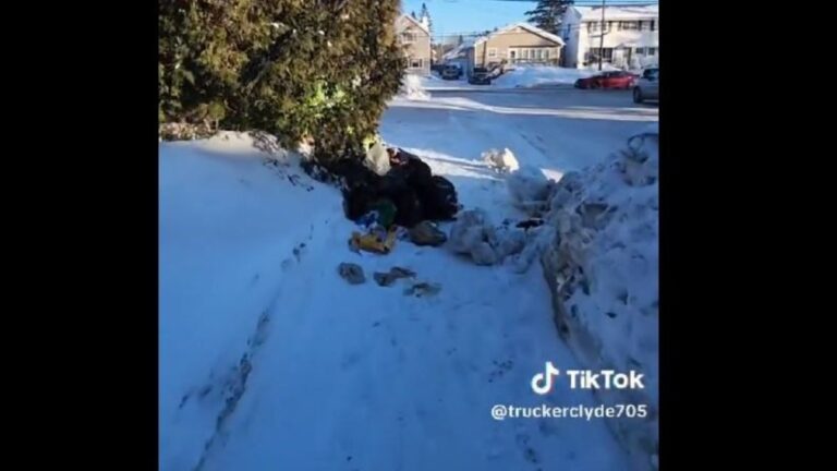 ‘Deport them all’: Canadian man blames ‘international students’ for garbage dumping in viral video, sparks outrage