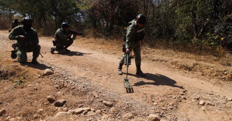 As a result of a mine explosion in Mexico, 2 soldiers were killed, and 2 soldiers fell into a booby trap in the same region.