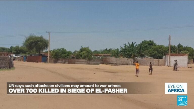 More than 700 people died in the siege of the city of Al-Fasher in Sudan