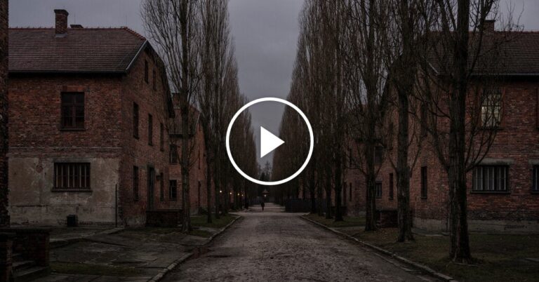 The survivors remember the 80th anniversary Auschwitz salvation