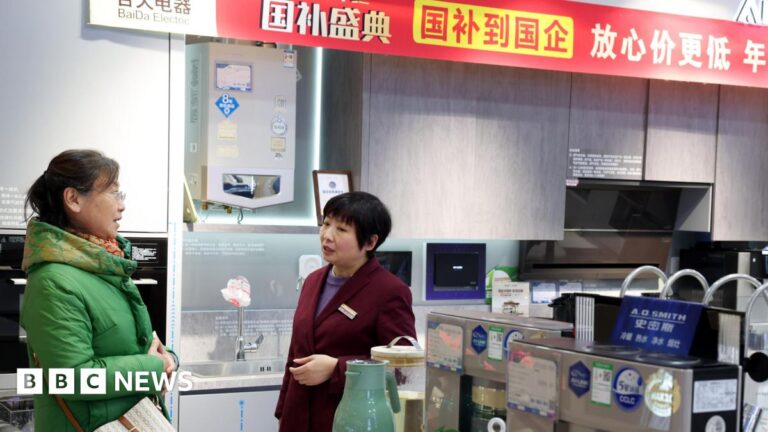 China: Beijing bets on rice cookers and microwave ovens to boost economy