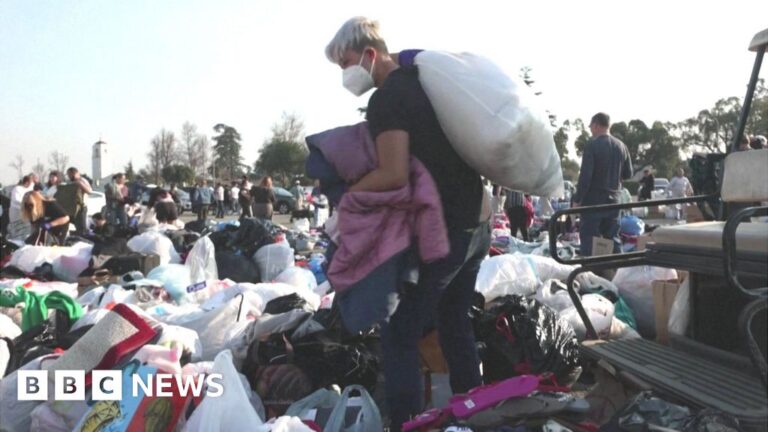 Locals are using TikTok to get donations for LA fire victims