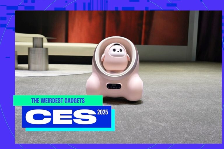 The weirdest gadgets we saw at CES 2025