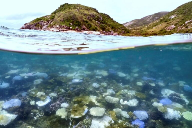 We finally know why the oceans are on a record hot strip