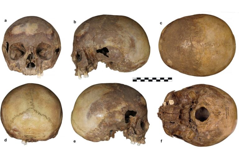 The skull associated with Cleopatra’s half-sister is not what it seems