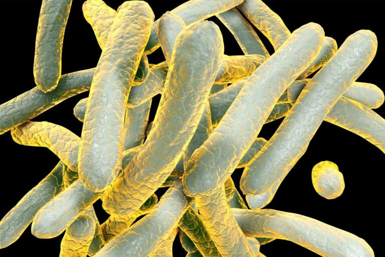 Kansas is fighting with the largest outbreak of tuberculosis ever registered in the United States