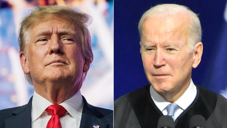 Trump applauded for ‘significant’ immigration action after Biden admin ‘ruined’ US border