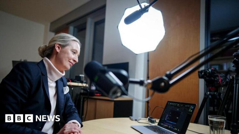 Musk interviews German far-right woman Alice Weidel