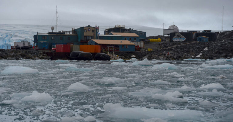 Buffalo Bills fans are in trouble, especially in Antarctica