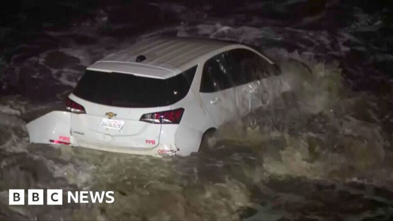 LA Vehicle swept to the ocean because of the fire hits