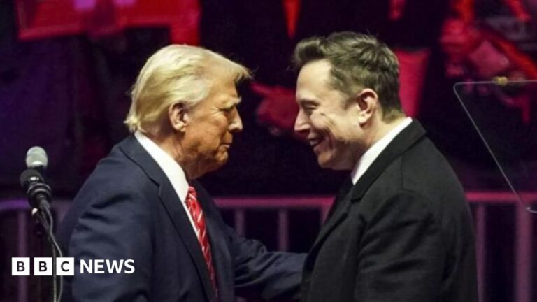 Trump Ally Musk corrects the government – but will they collide?