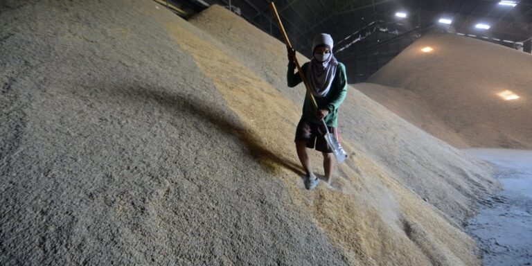 Japan will loosen its grip on the country’s fiercely guarded rice stockpile as prices soar to their highest levels ever
