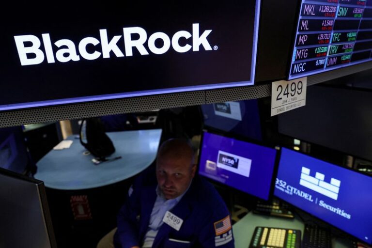 BlackRock resumes stewardship talks after reviewing new ESG guidance