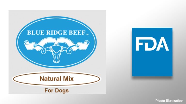 Popular brand of pet food recalled due to salmonella concerns