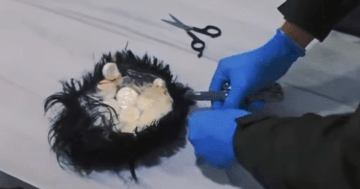 Drugs in a rug: Cocaine hidden in cocaine in Colombia – National