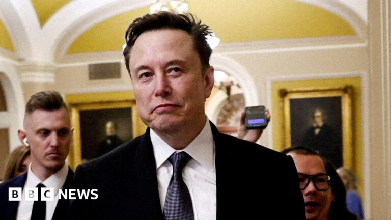 Judge Musk blocks the entry to the records of the Treasury Department