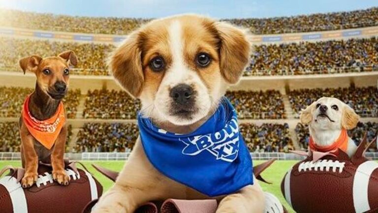 When is the Puppy Cup 2025? How to watch the super sweet display