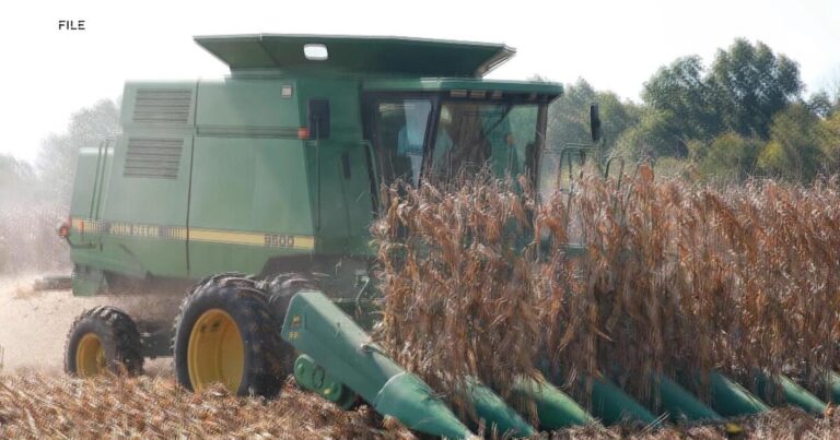 New Chinese tariffs add pressure to American farmers within the ongoing trade war