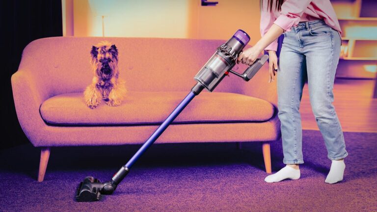 6 best wireless vacuums Vacuums with best sticks in 2025, tested by our experts