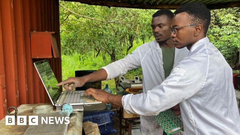 Bitcoin in Bush – Crypto brings power to cultural rural areas