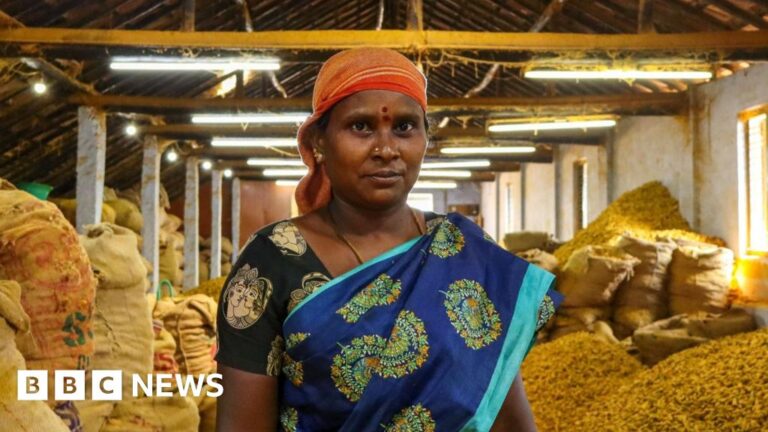 Tamil Nadu teenagers take India’s employees in pictures