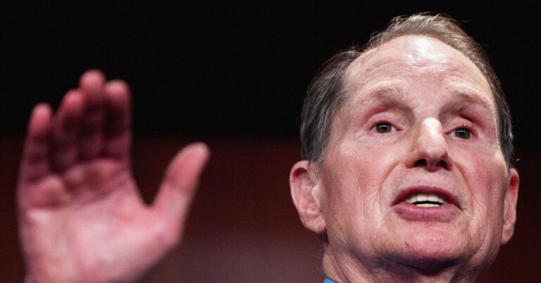Democratic senators call for reform of the Privacy Act in response to Takeover