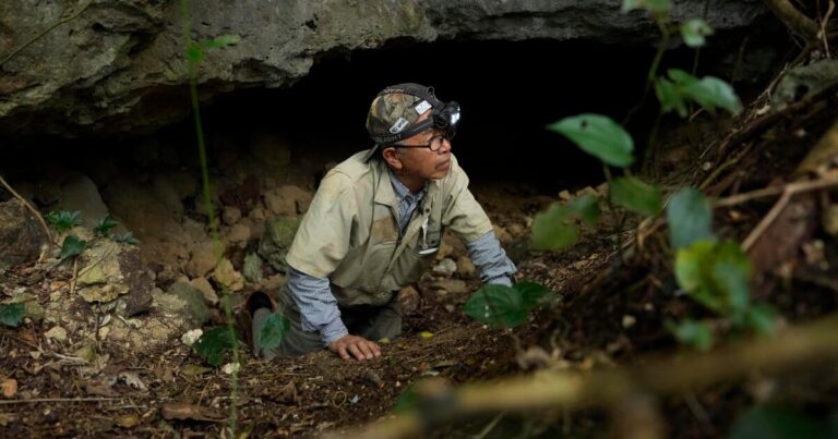 Volunteer searches for WWII Dead in Japanese caves Hundreds of people’s remains