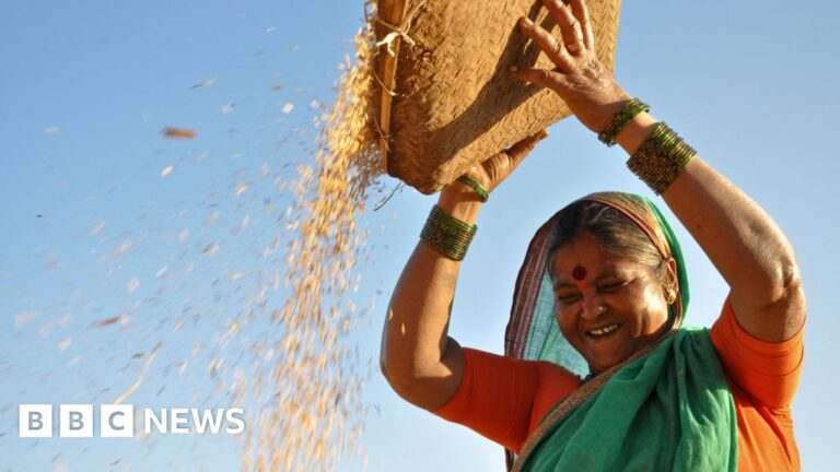 Agricultural Center Phase is a US-Indian trade demonstration
