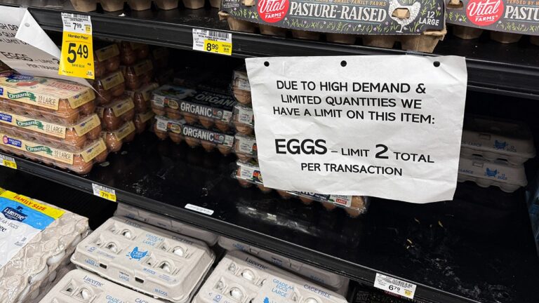 Justice Department investigating surge in egg prices: report