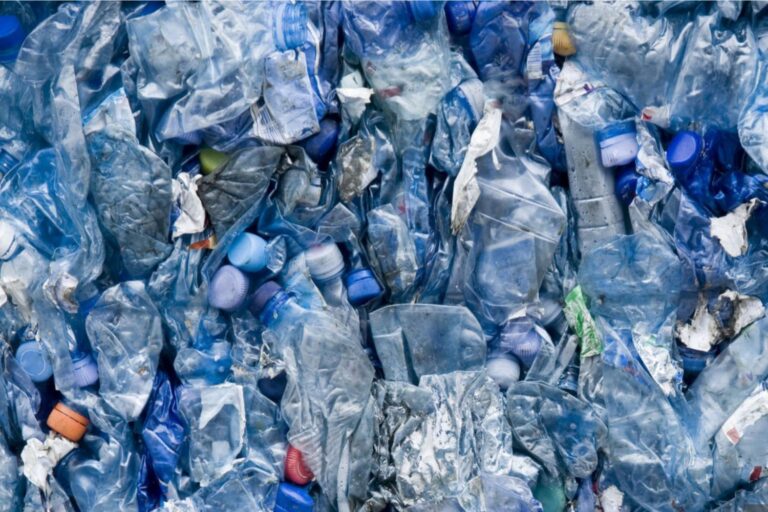 Scientists sound the alarm over plastics in our brain after a shocking study