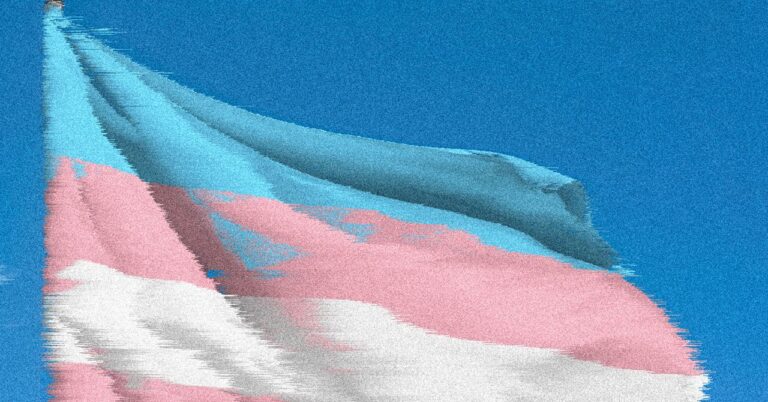 Researchers rush to save US government data for trans youth – before they disappear