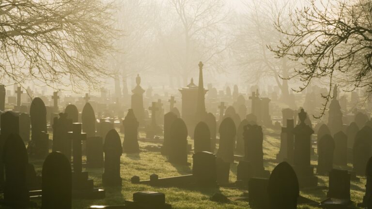 Behold, ‘Dead’ investors prefer their living