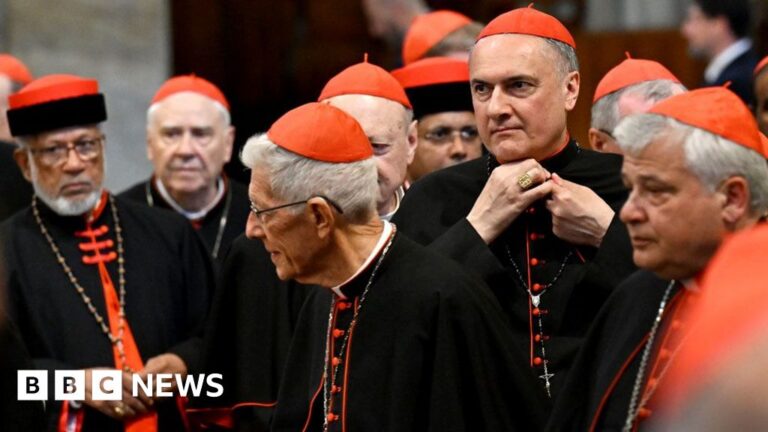 The Vatican says that the new Pope to be elected Pope will be selected