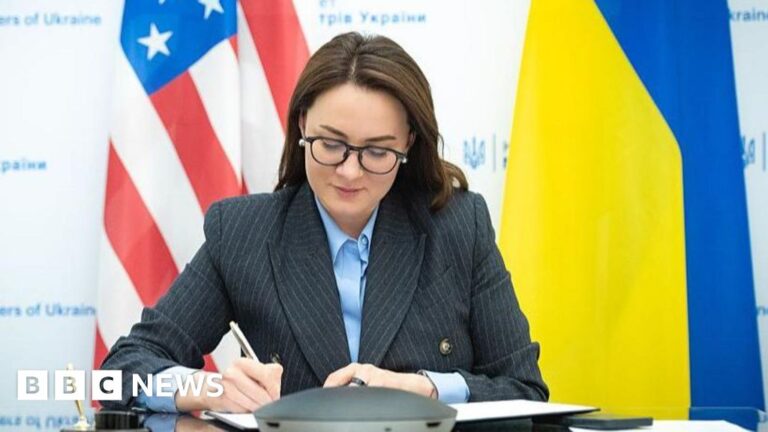 Ukraine says the United States has signed the outline of minerals