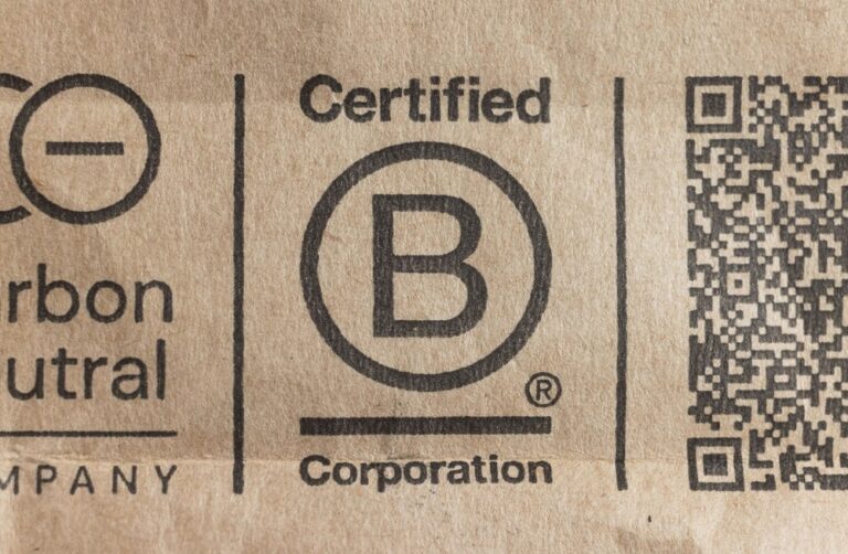 B Lab sets out new B Corp standards