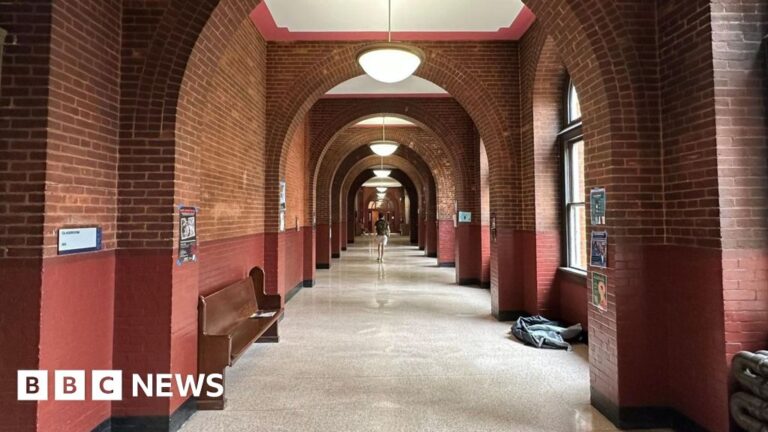 Concerns in US college campuses like foreign students