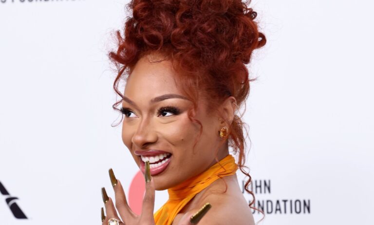 Was Megan Tai, the stallion threw the shade into the song “Every time”?