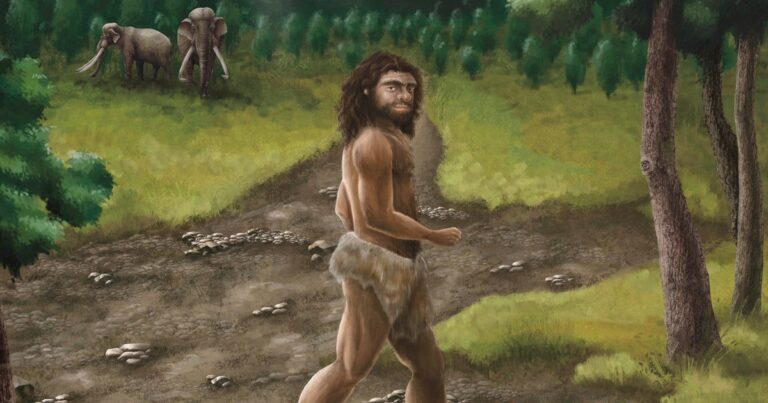 The ancient jaw bone in the sea belongs to mysterious human ancestors, and scientists say