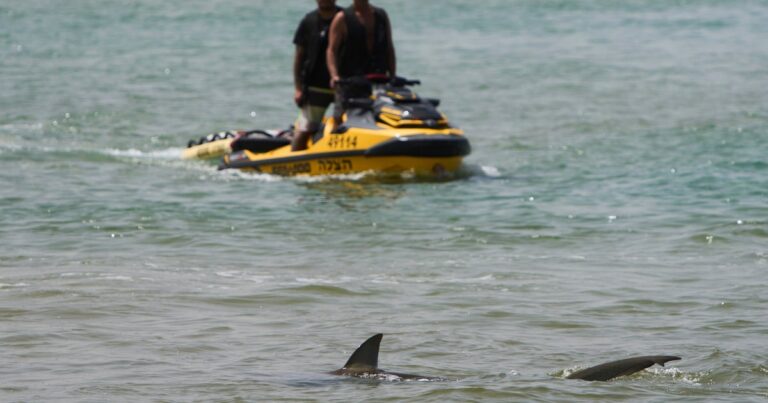 Shark attack victim was found in popular beach waters in Israel after 2 days of search