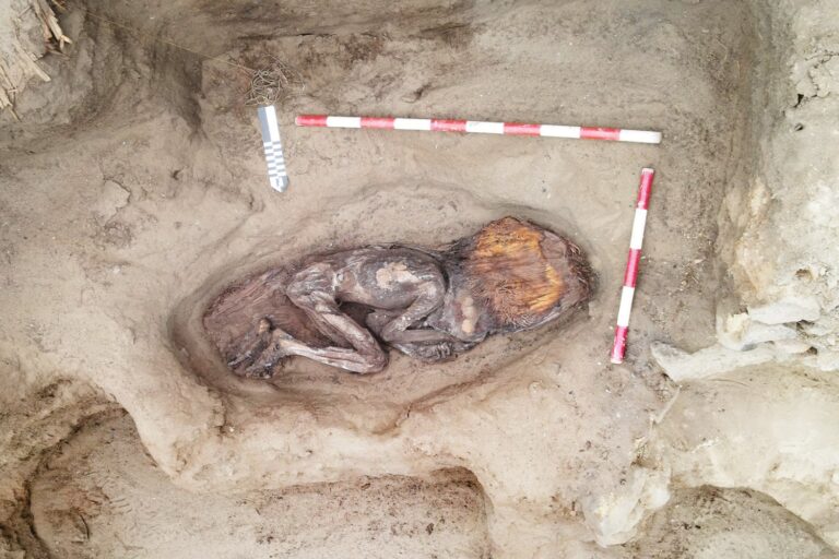 4500-year funeral in Peru reveals an extremely well preserved high-status woman