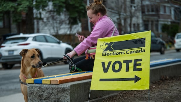 Canadians vote after the violent campaign formed by Trump today