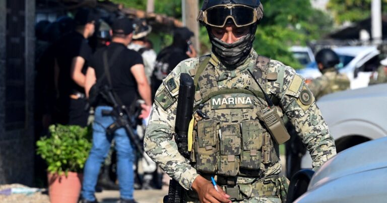 The bodies of the victims of 11 murders were found in the State of Mexico with drug trafficking