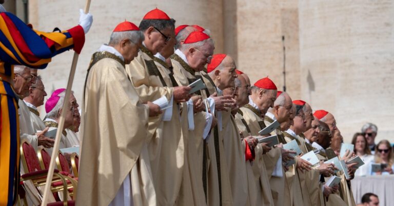 Who will be the next Pope? Here is a list of some possible candidates to succeed in Pope Francis.