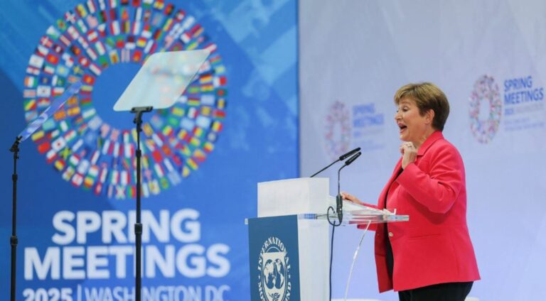 What will the IMF and the World Bank do in the most recent economic crisis? | TV shows