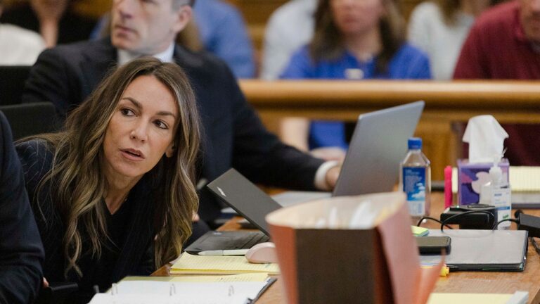 Karen’s crime rejects actions to block the main defense experts of the judge