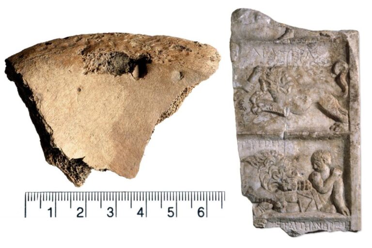 Lion bite brands of an 1800-year-old skeleton confirm gladiators led in Roman Britain