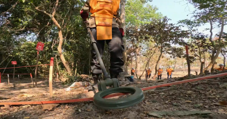 Cambodia is still fighting the fatal threat of mines with remains of a thousand conflict